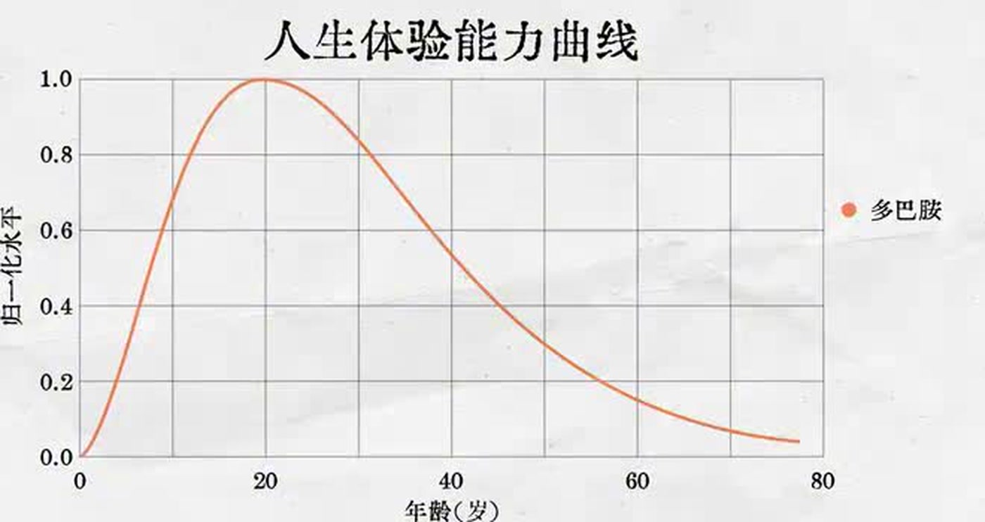 人生体验能力曲线