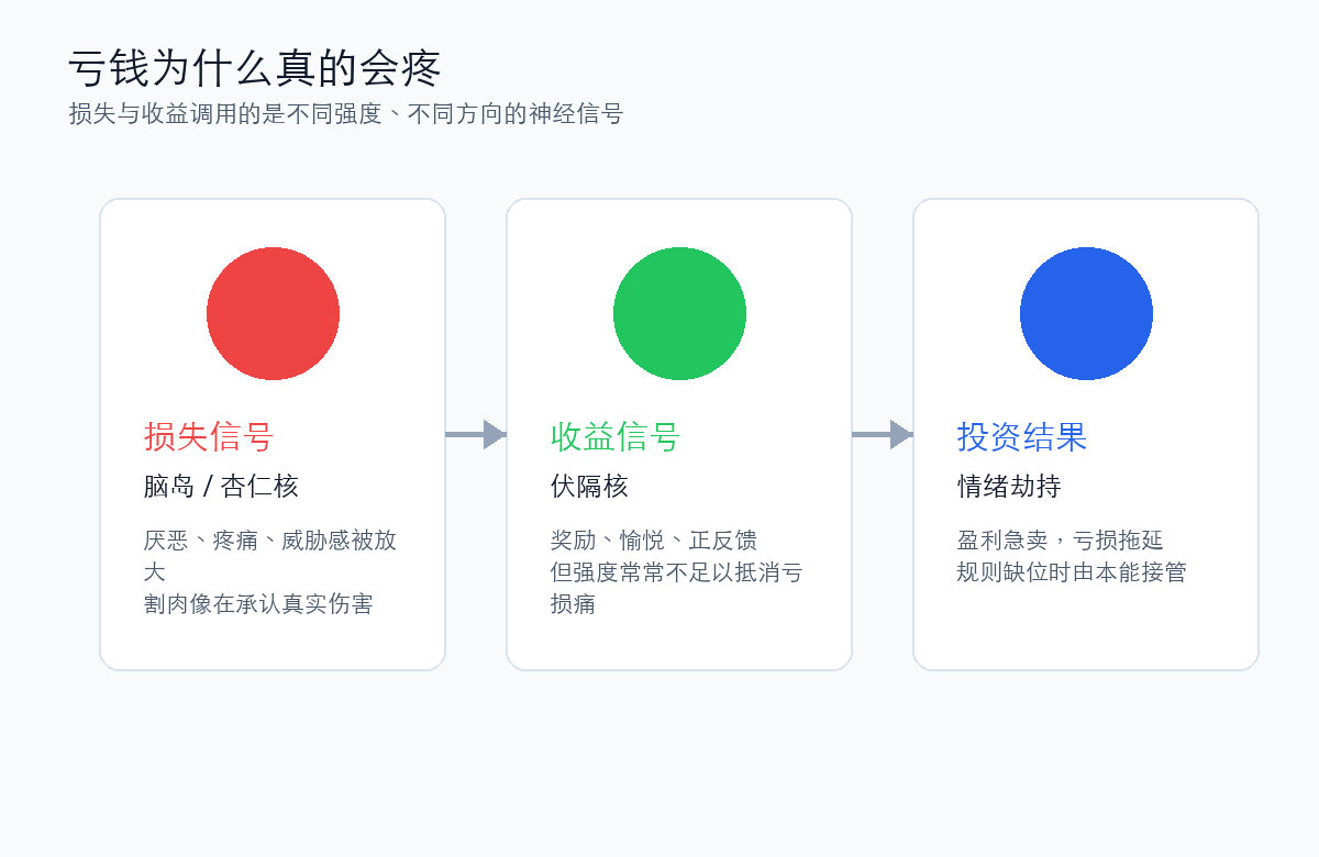 亏损收益的大脑机制