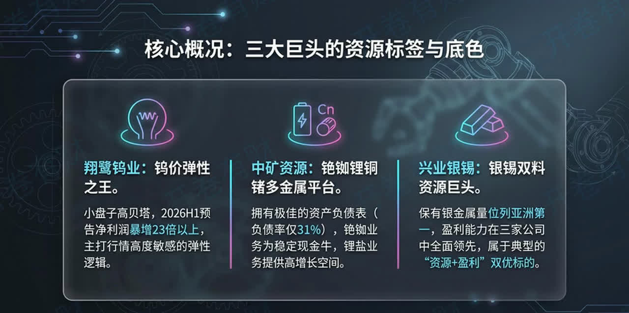 翔鹭钨业、中矿资源和兴业银锡三家公司资源画像